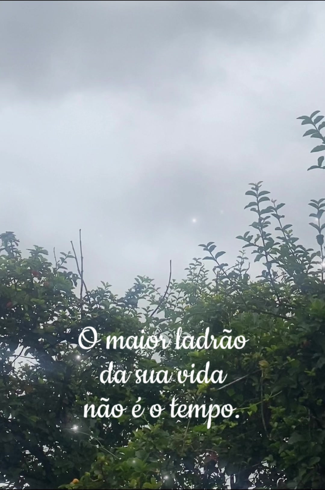 @casosreais