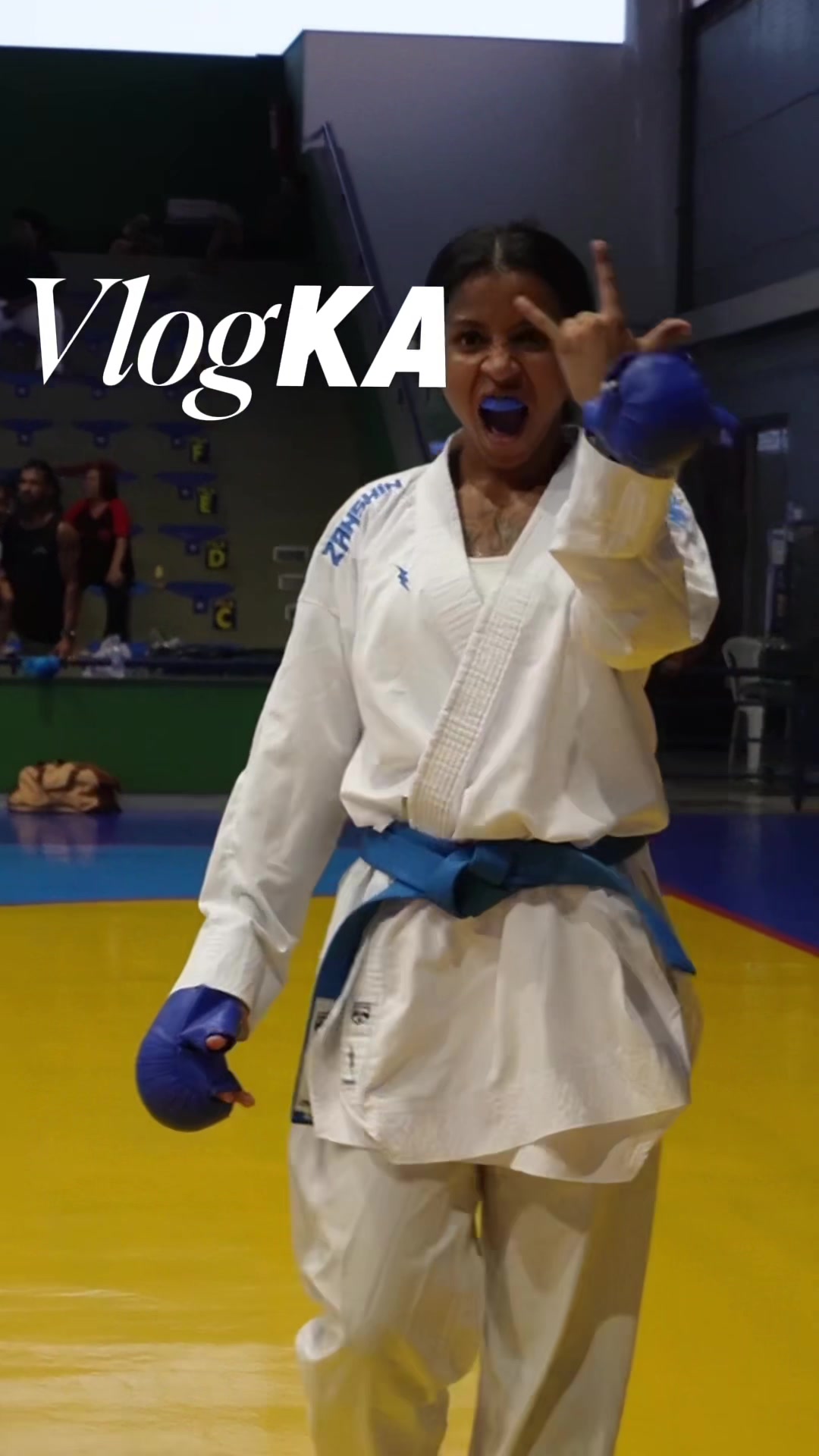 @diario.da.karateca