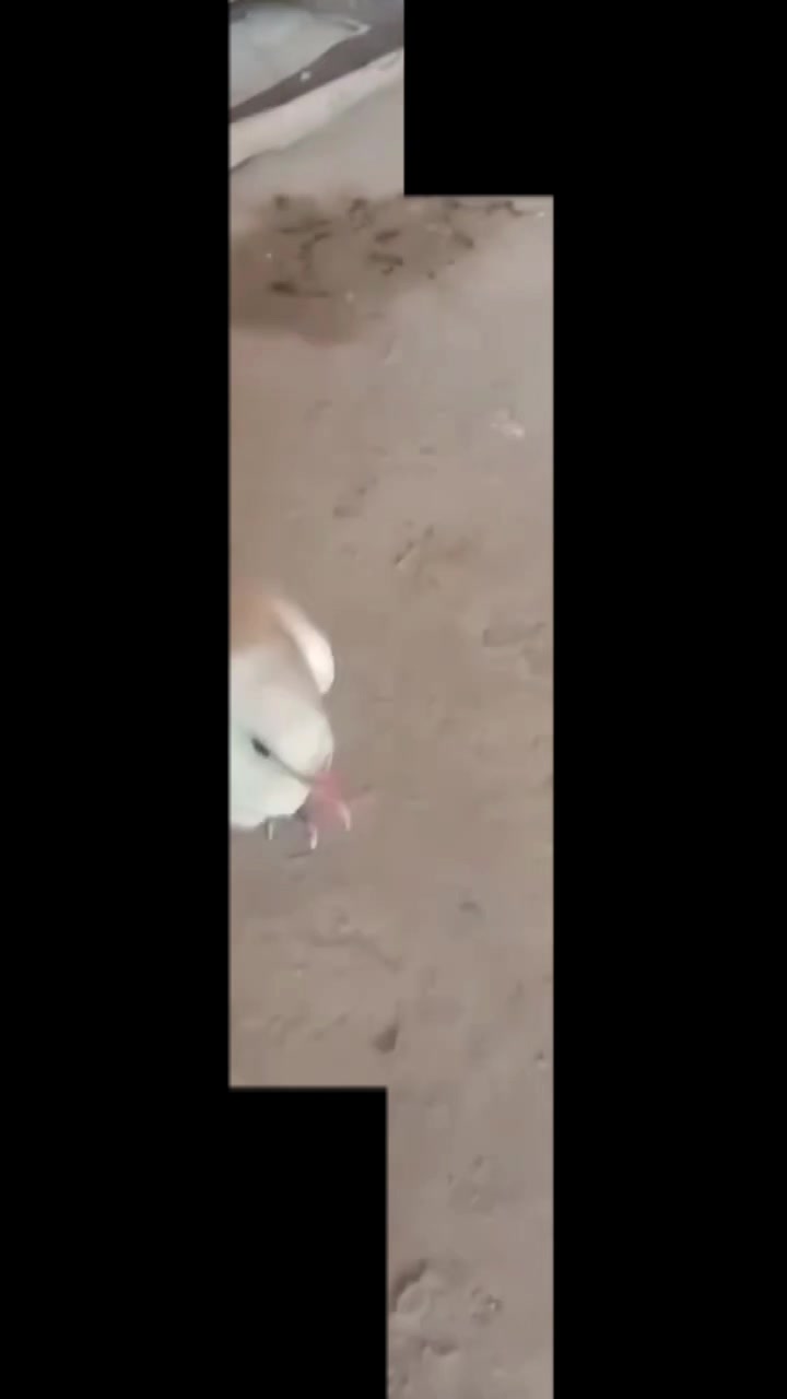 @Adnan jutt🤘 لاڈلا گروپ ملتان