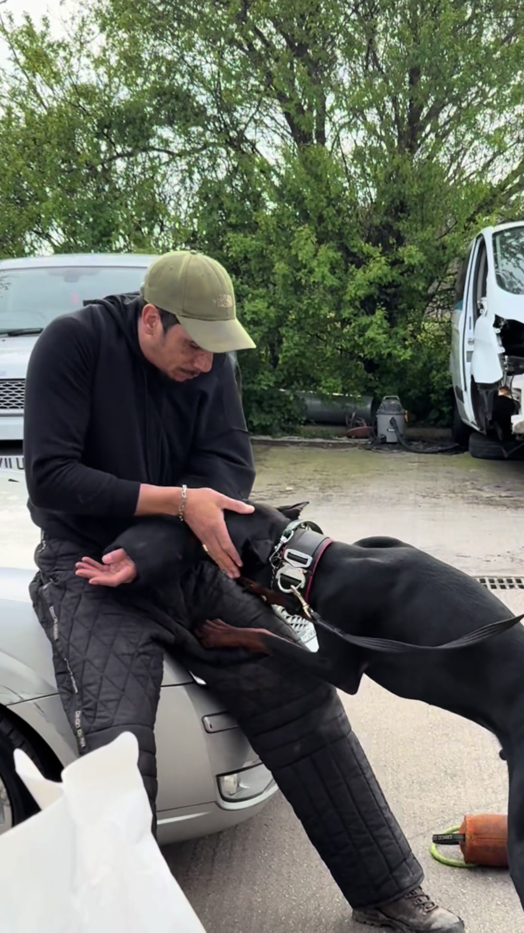 @protectiondobermanns