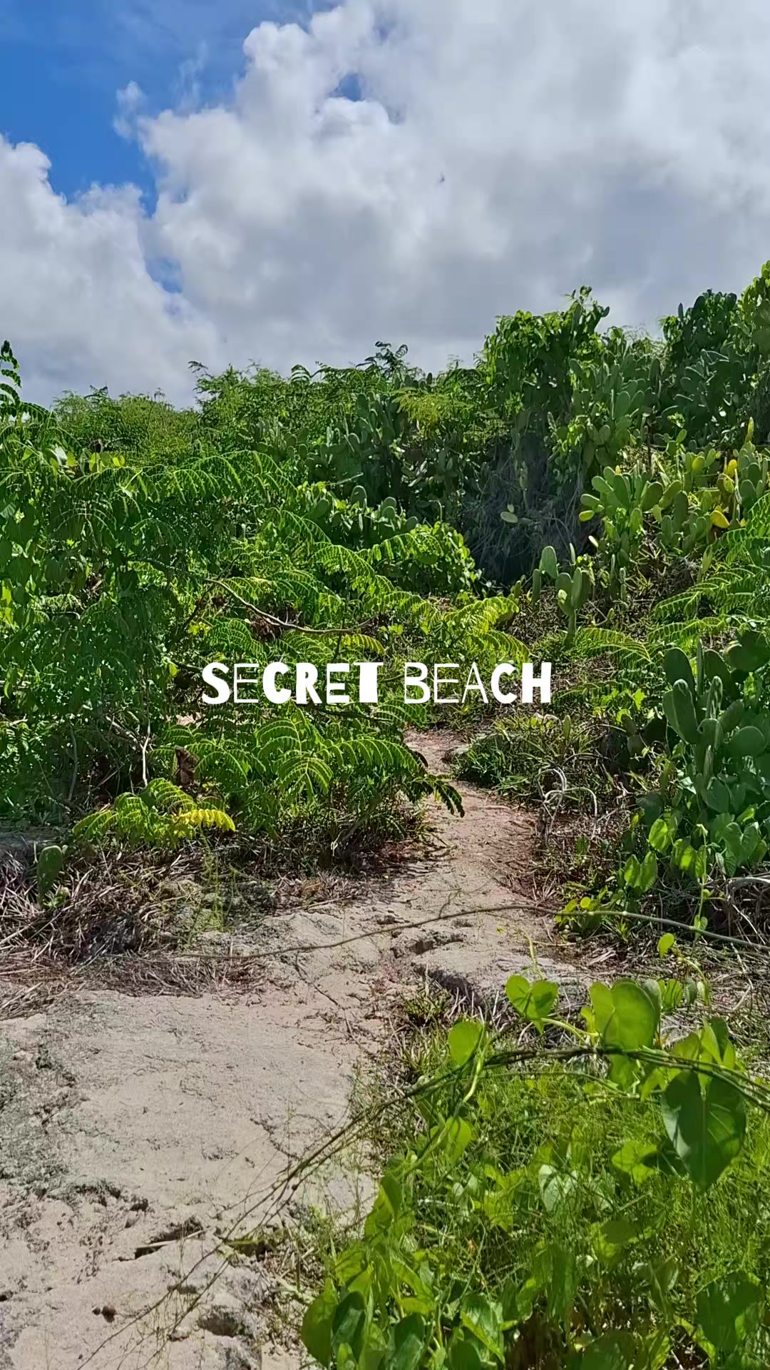 @Musings of an Island Girl
