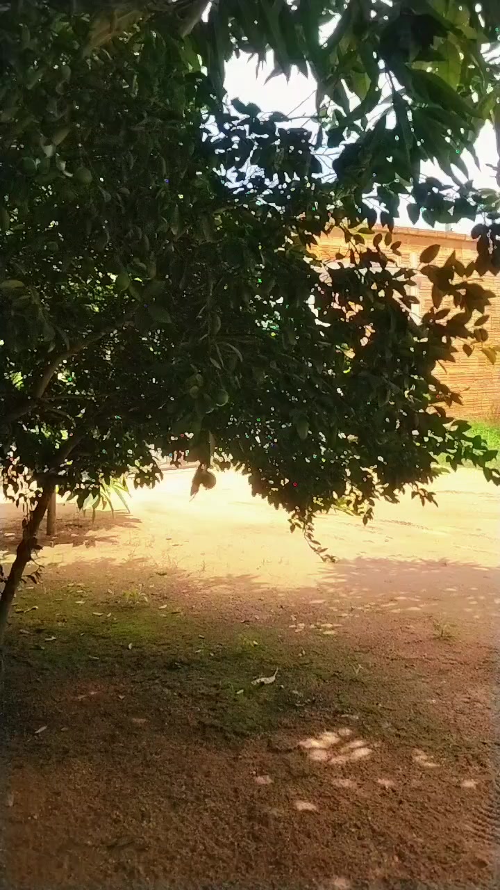 @Gil Ferreira Silva
