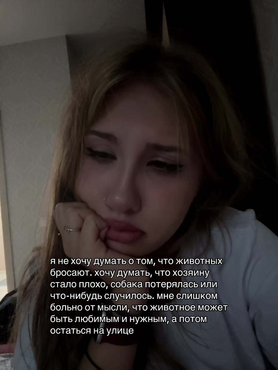 @blafi