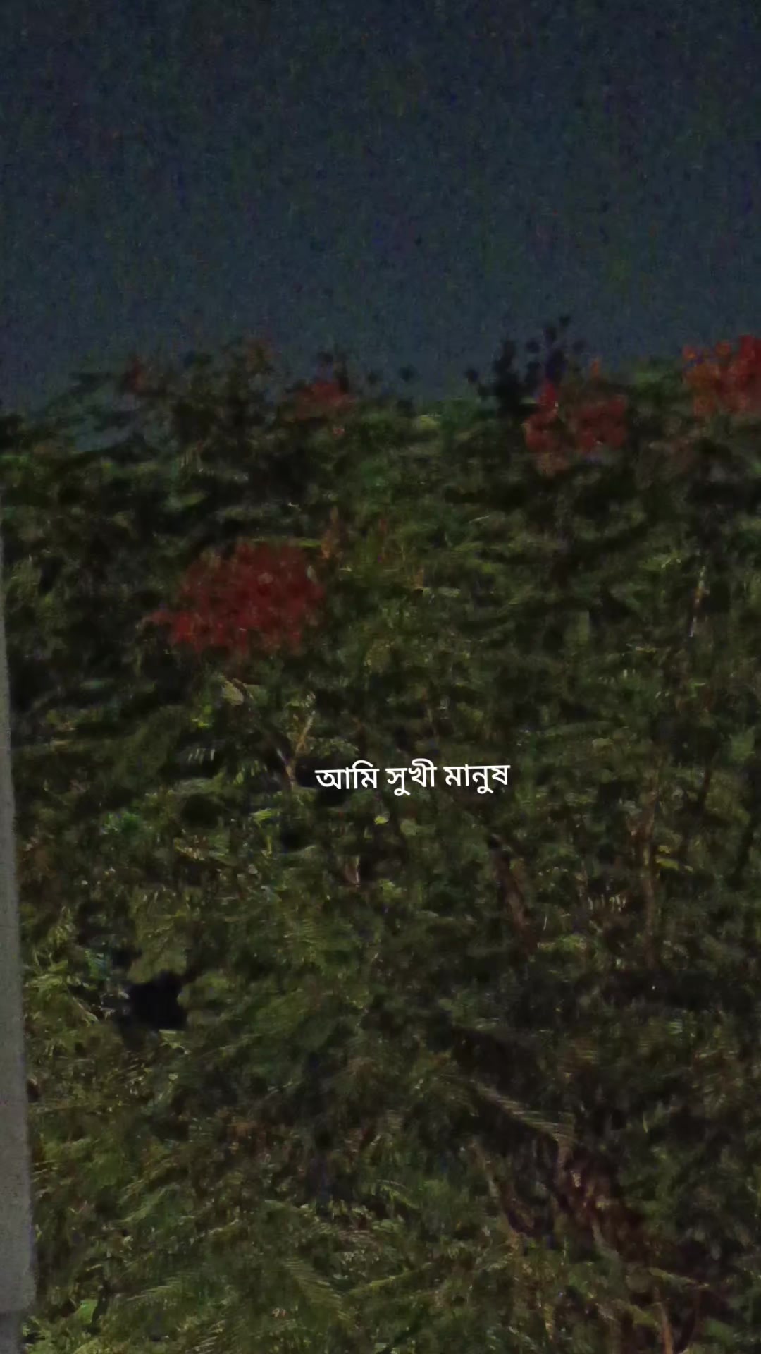 @আমি সুখী মানুষ
