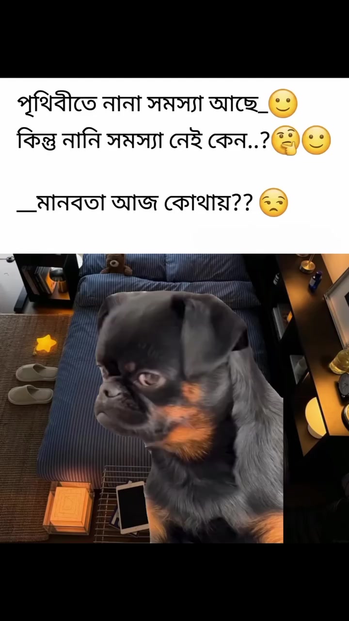 @Md Akash Khan