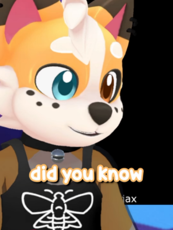 @Corgi