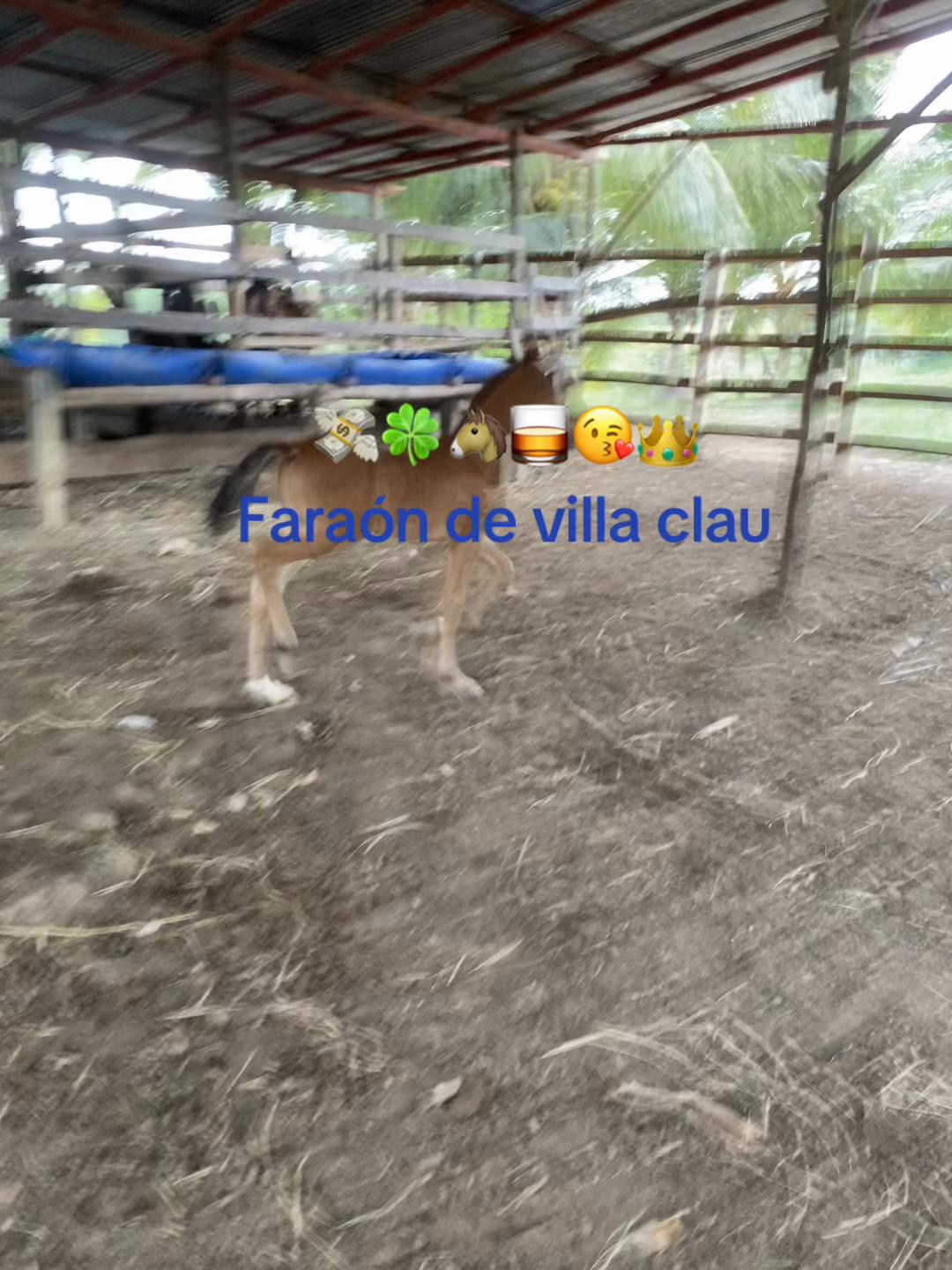 @Lucas Fernandez