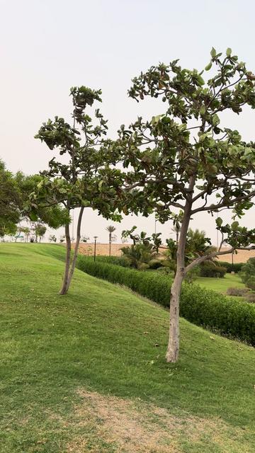 @Inside Bahria Karachi