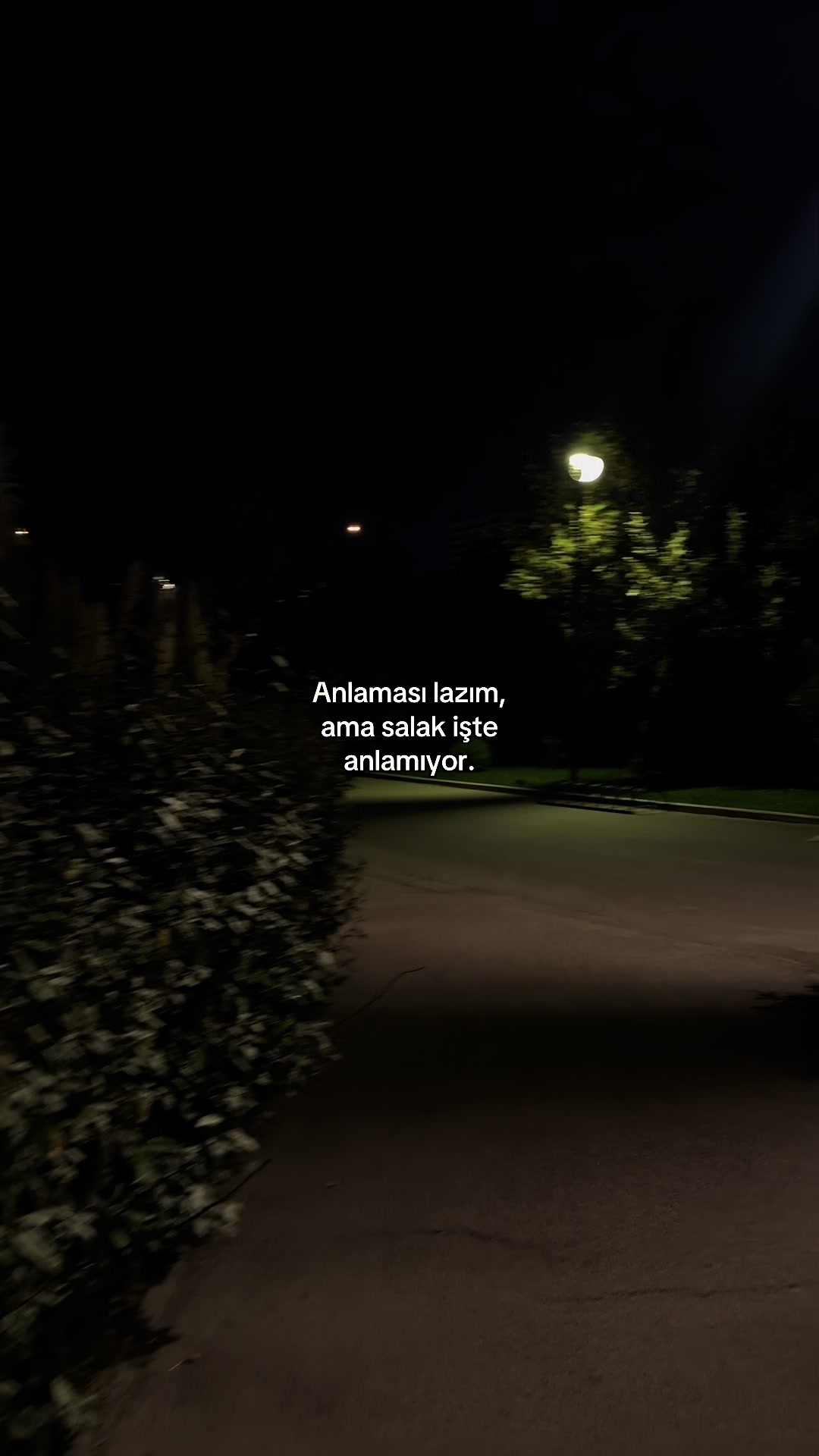 @userlyrics456