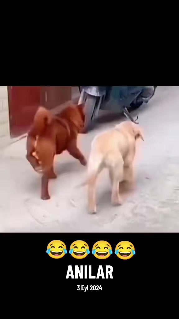 @K&ouml;m&uuml;r G&ouml;zl&uuml;m