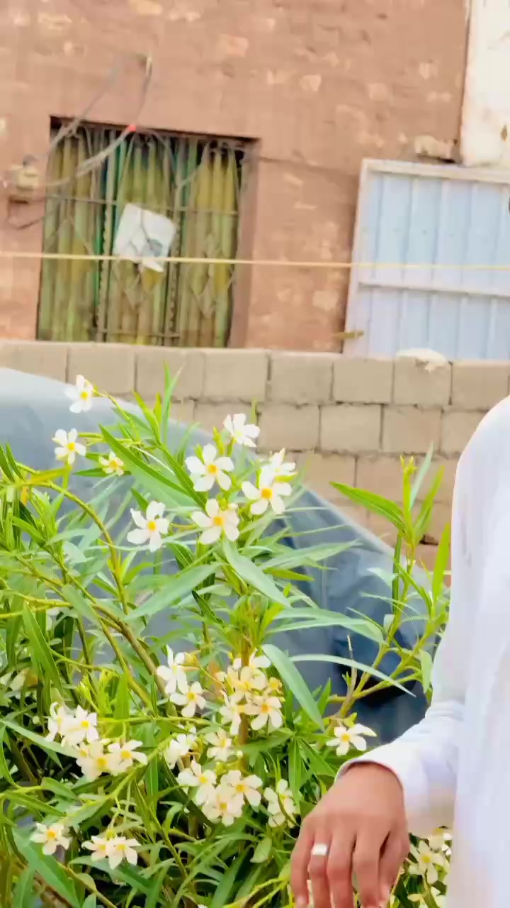 @چیرمین Shb😎🔥