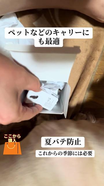 @ゆーゆ🐶🦔