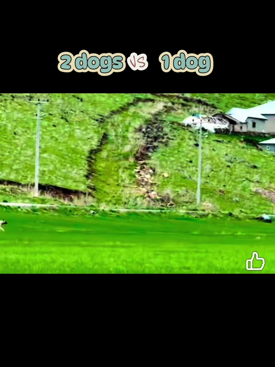 @𝑪𝑯𝑨𝑷𝑨𝑹