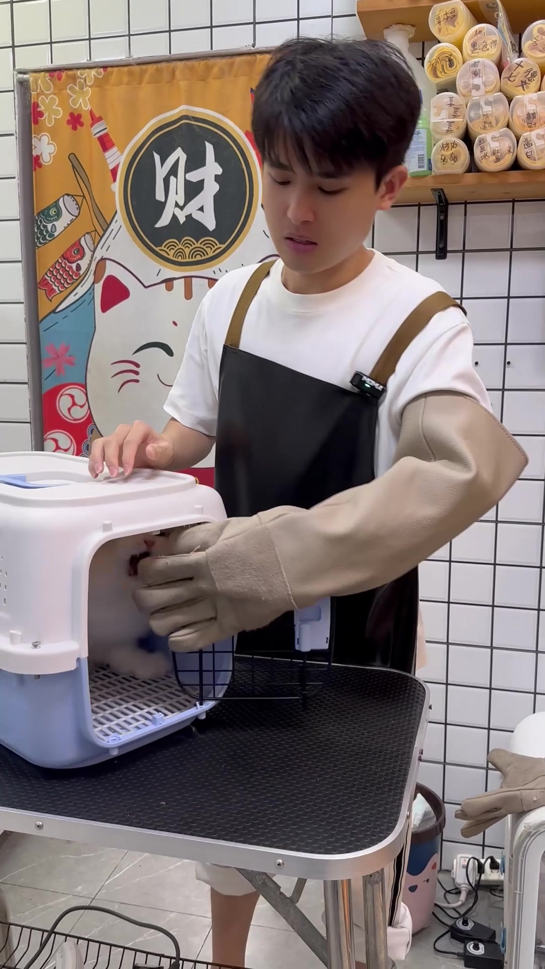 @washing.cats