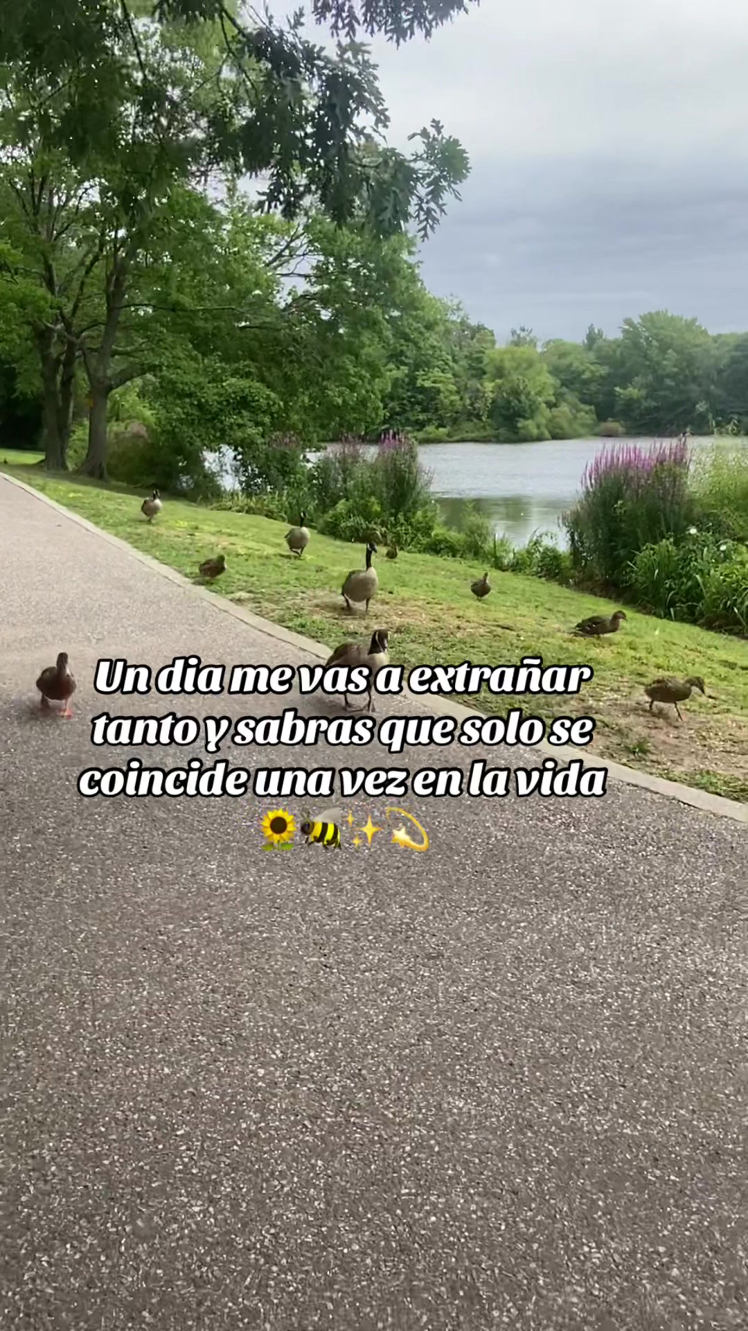 @💛Bonita_Girasol91
