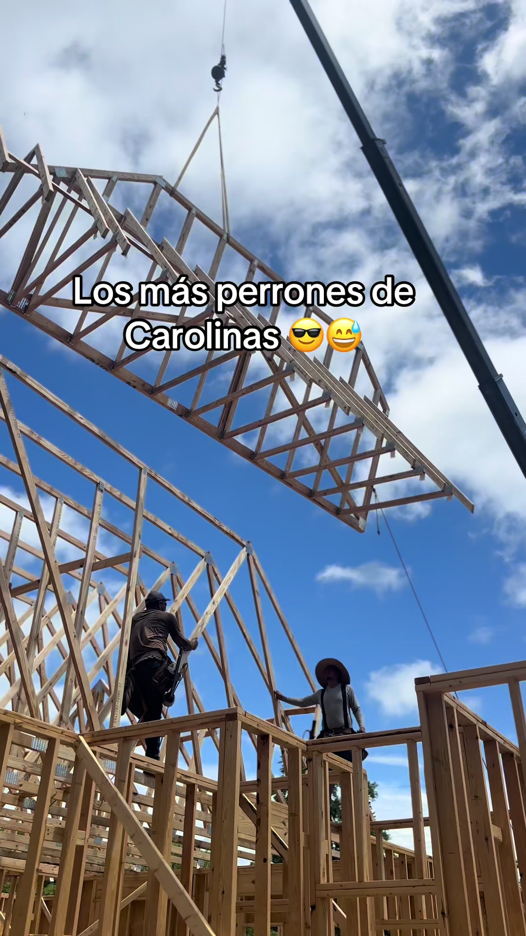 @Dani Agosto