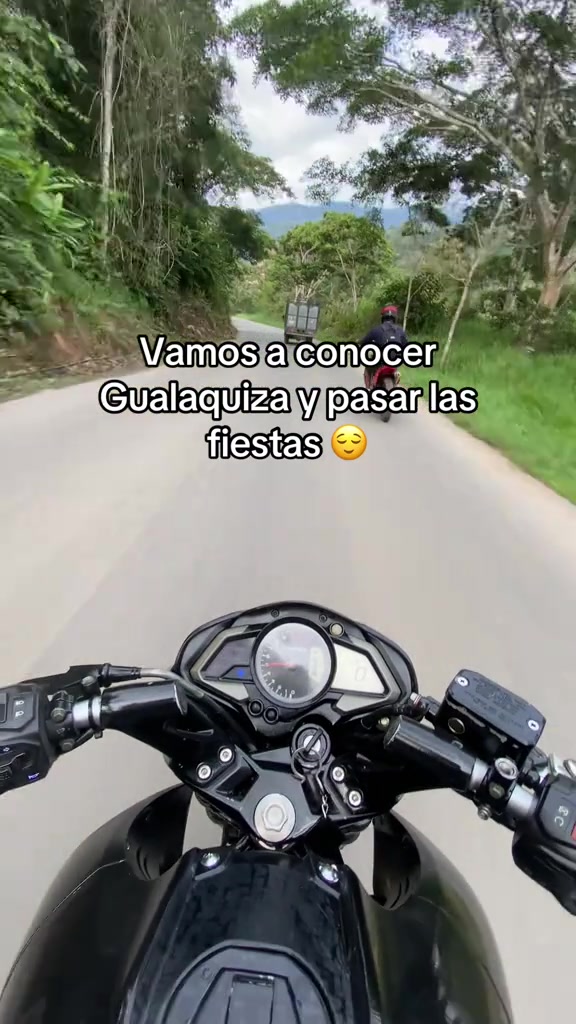 @Elvis 🍃