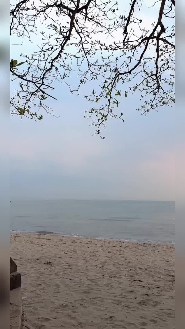 @PT Media Dunia Akhirat