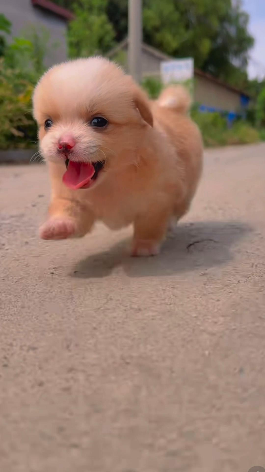 @My Daily Dose of Aww