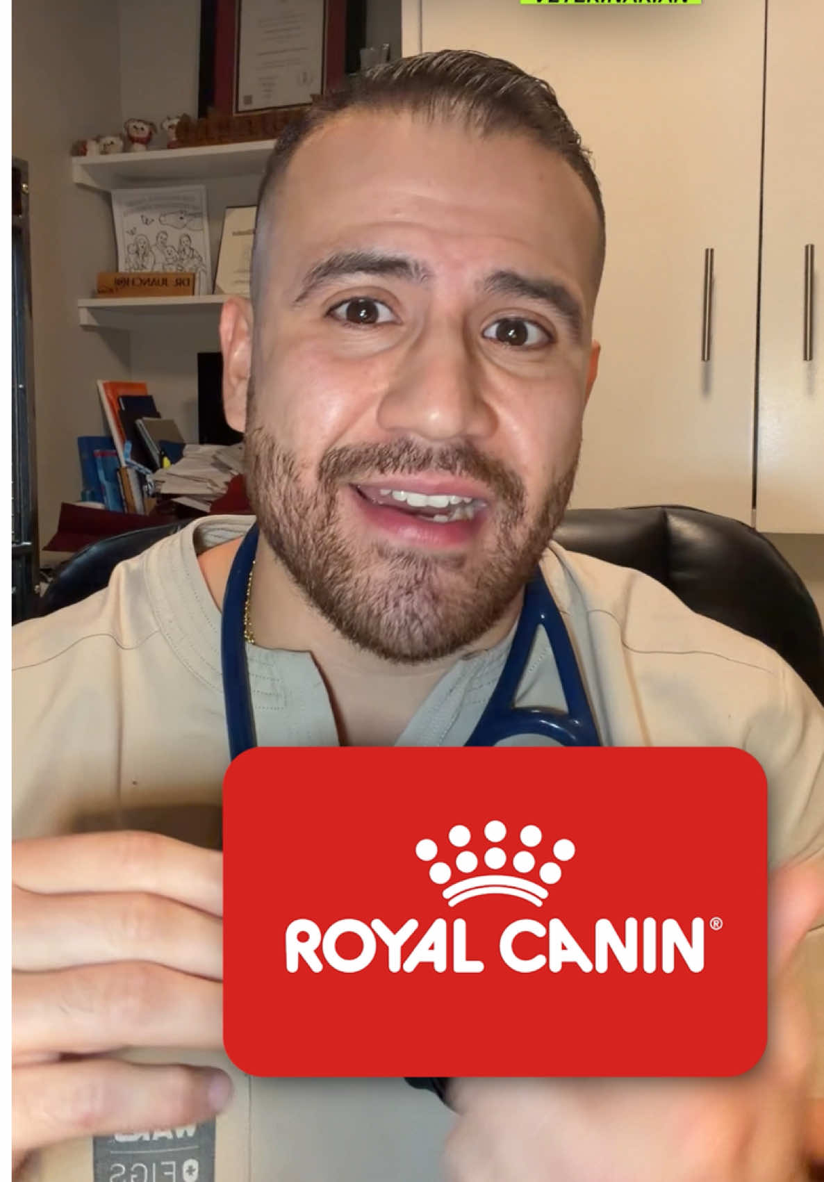 @The BK Pets - Dog Food Tips