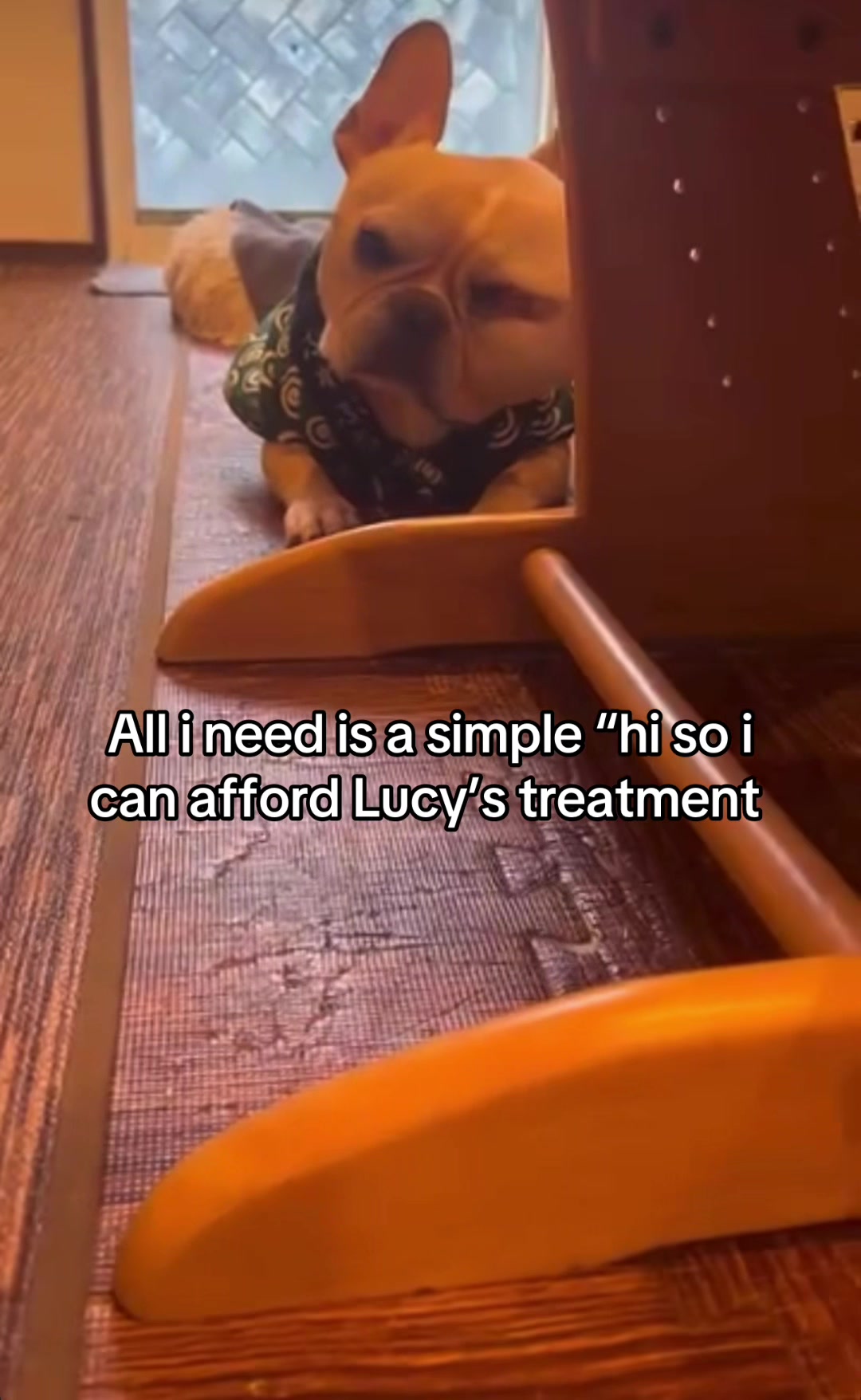 @Surgery for Lucy0