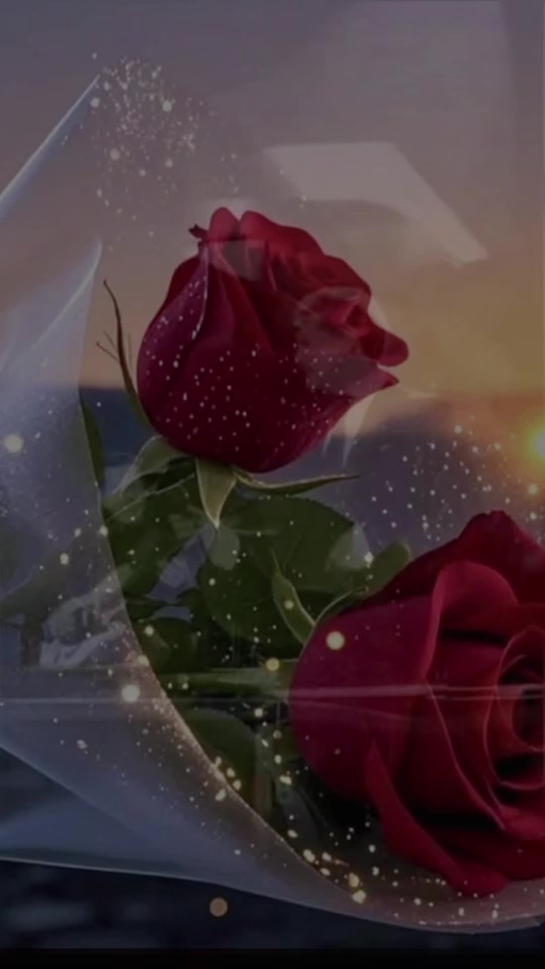 @Fan de la música :) 🌹🌹🌹🌹