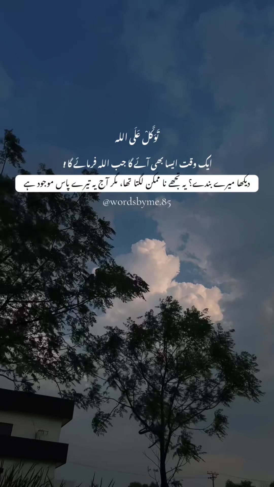 @humza nawab