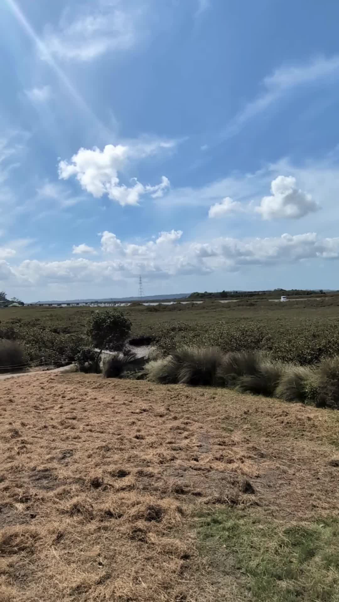 @Bike Auckland
