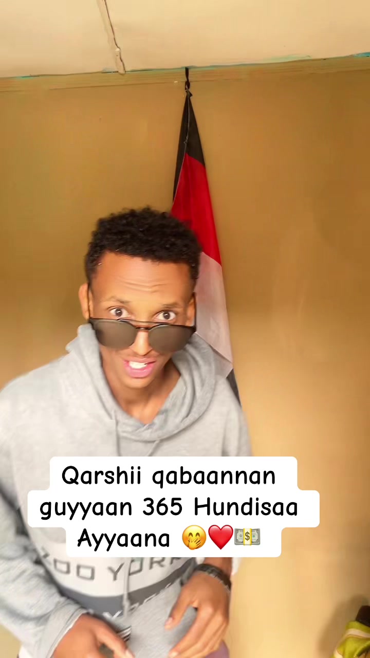 @hamzisha_go1