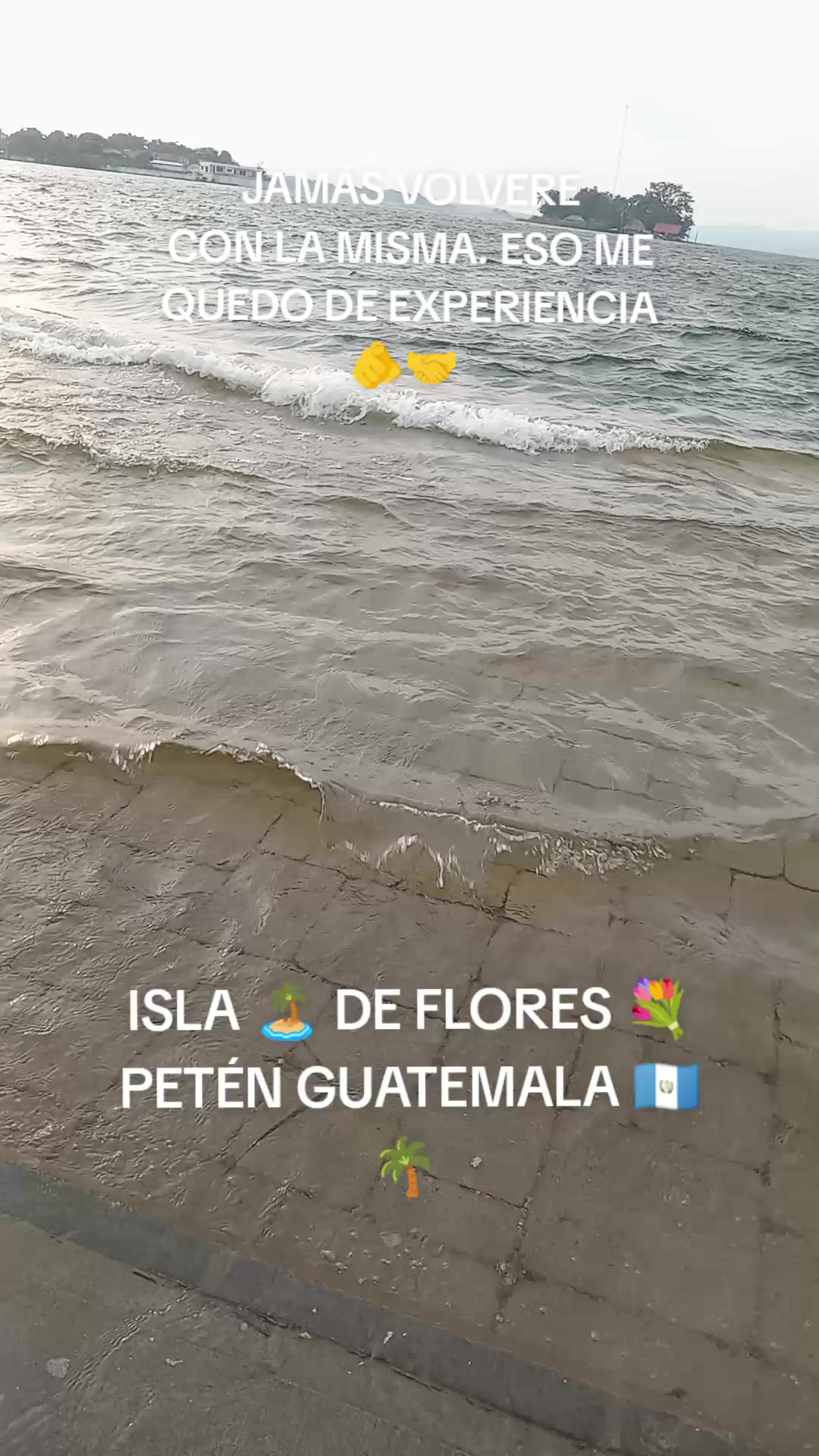 @EDY🇬🇹❤️ EL COLOCHO SOLTER