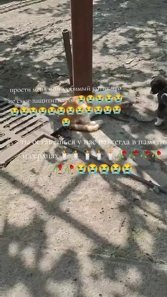 @𝗩𝗘𝗟𝗜𝗞