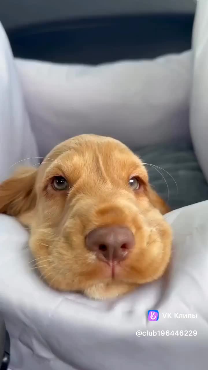 @🤗Леночка