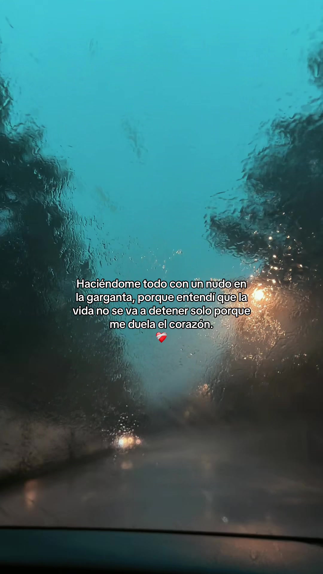 @hadadeletras