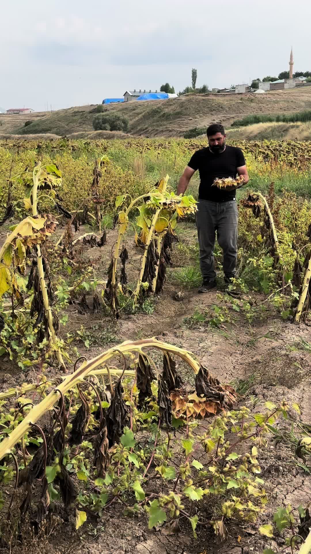 @CEVER AĞA
