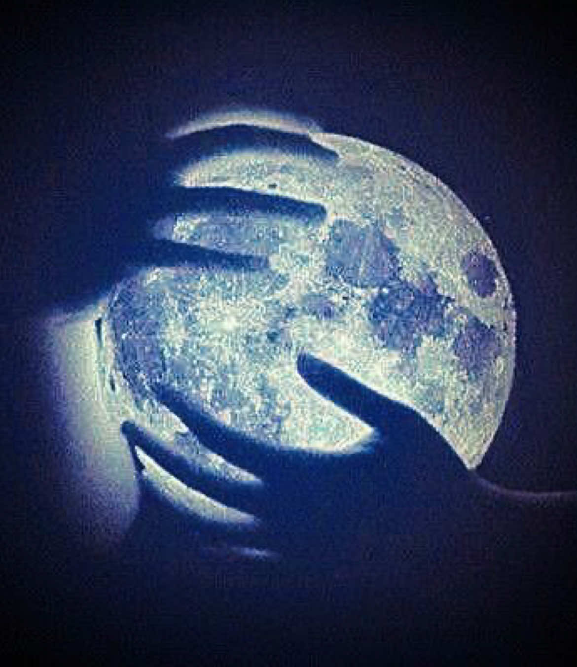 @๐โจ๐~Moondrop~๐โจ๐