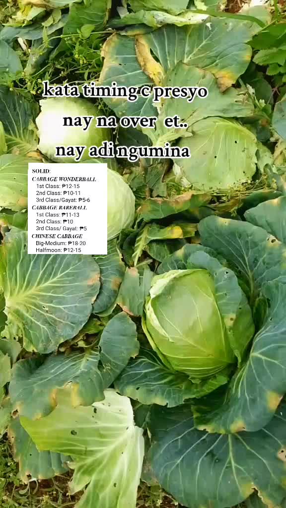 @💥Y'Taray....💥