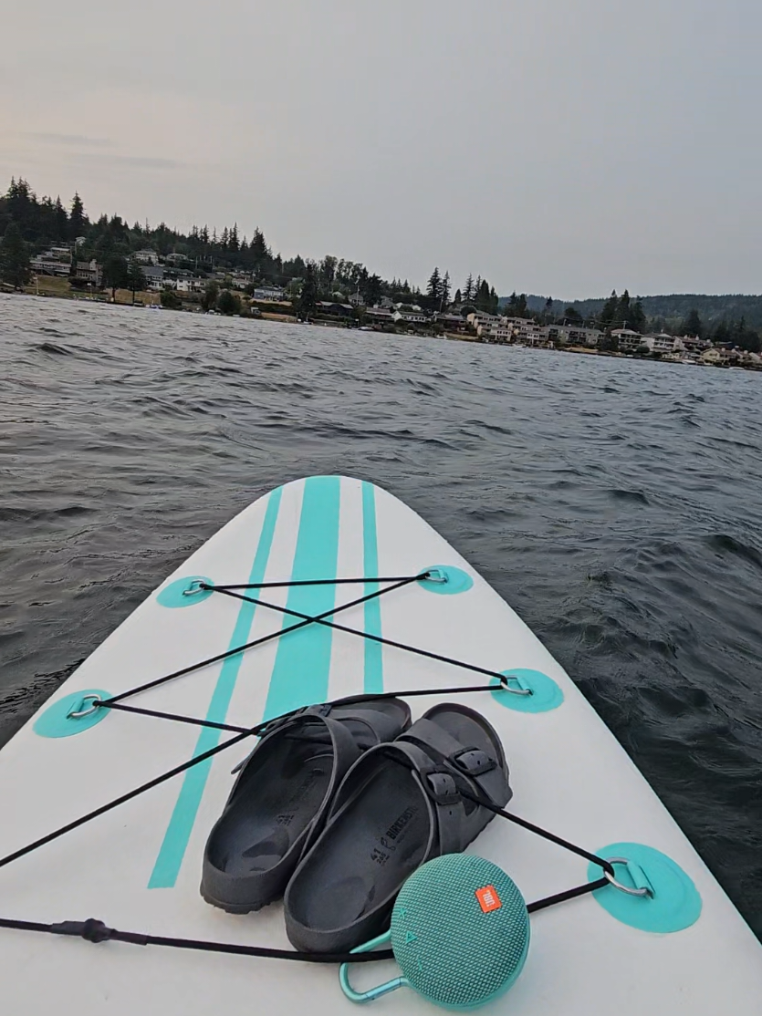 @LiveBellinghamNow
