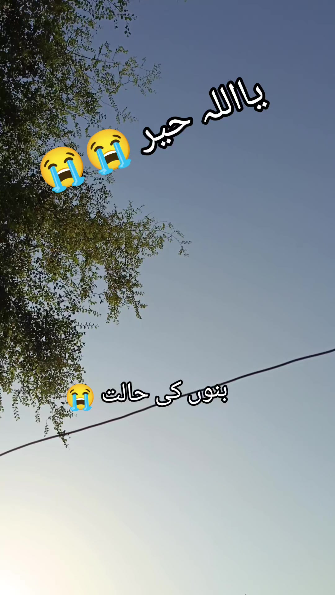 @FarhadJunior17
