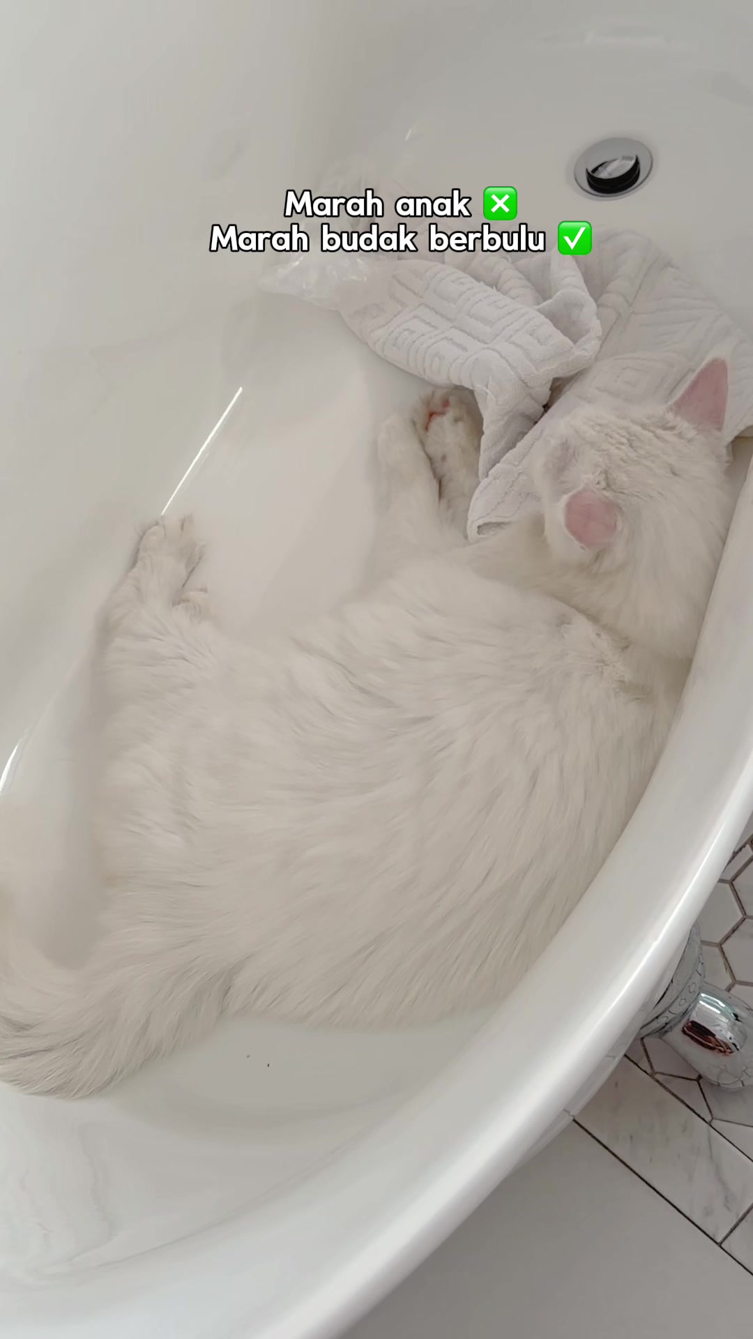 @Yatie.kamarzaman
