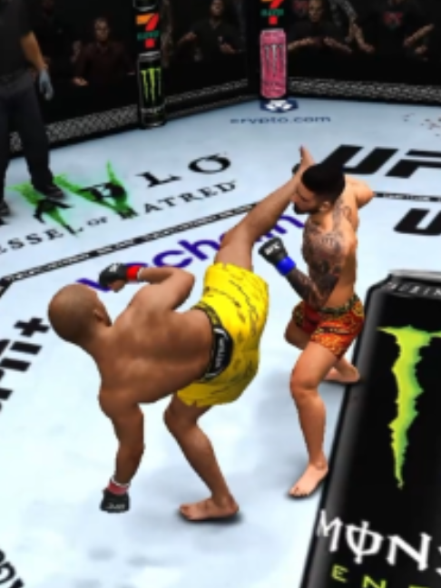 @Lobo Mma