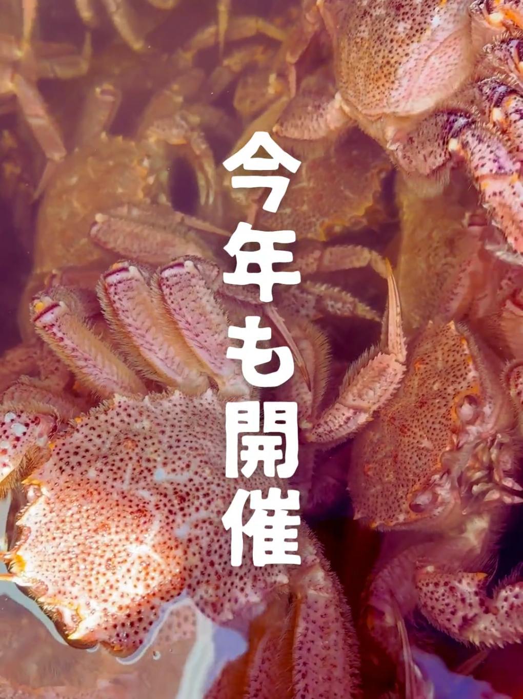@えさっしーちゃんねる【枝幸町観光協会】