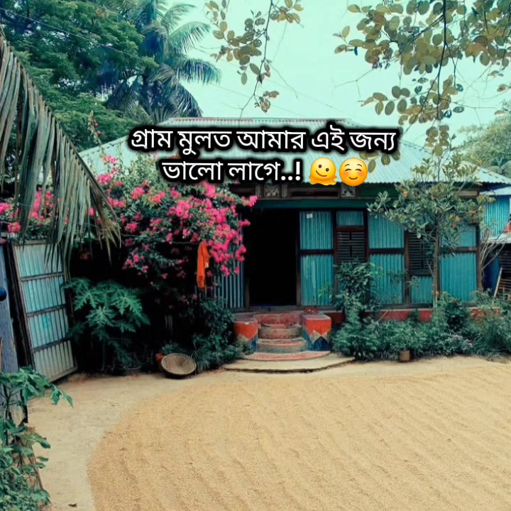 @🐸 আদিম কালের আফা 🐸