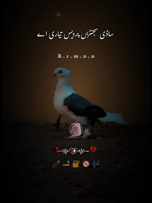 @🎭ارمان🎭
