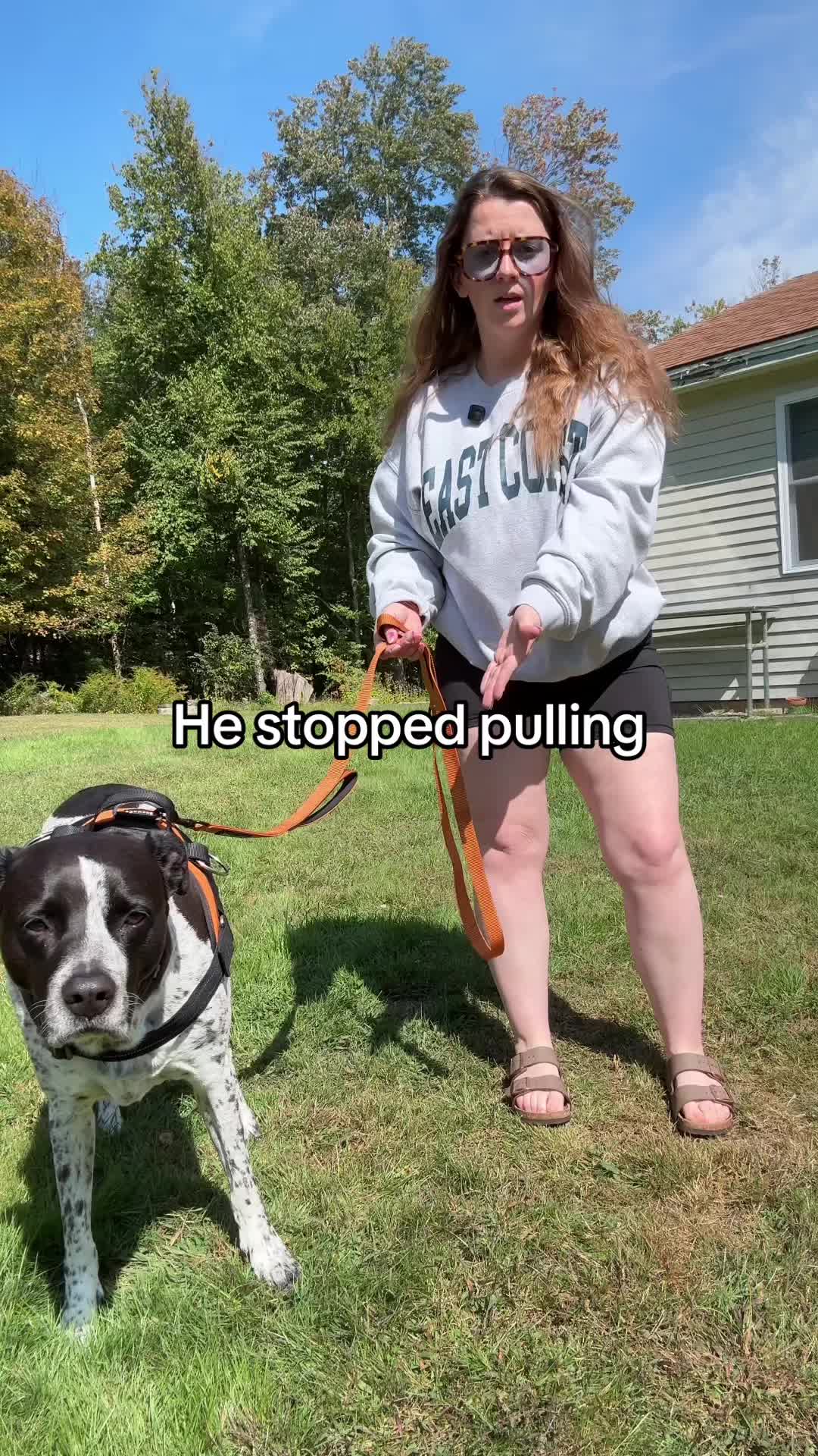 @Chelsea | Dog & Toddler Mom