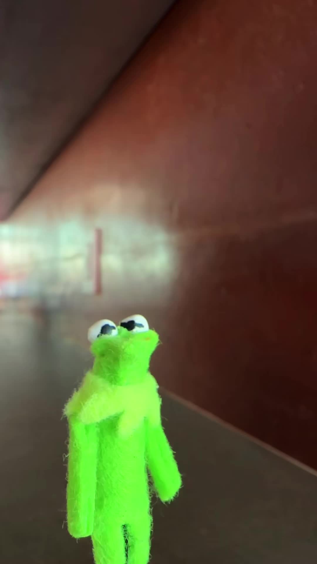 @🐸 Crashout Kermy 🐸
