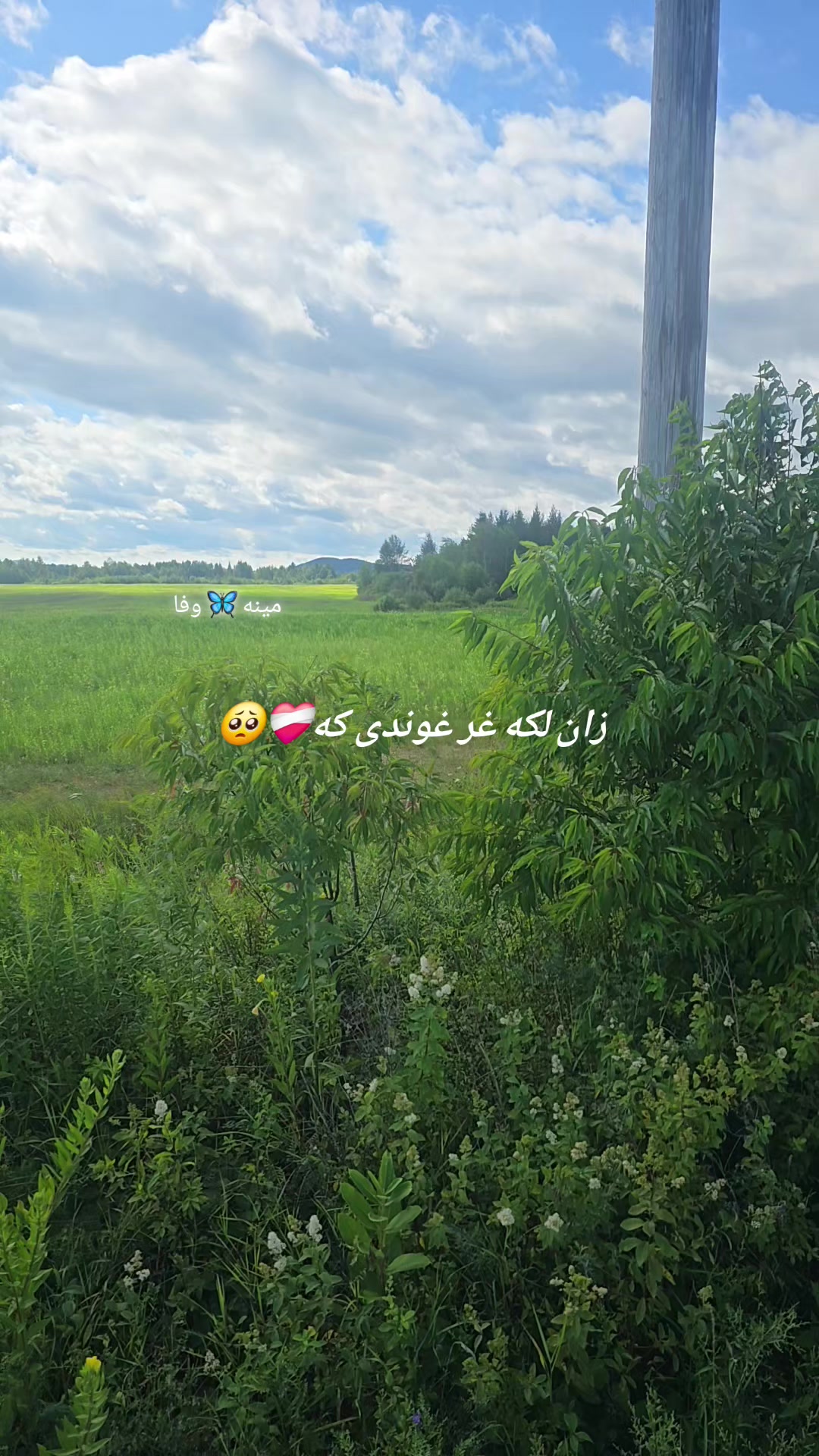 @🦋مینہ♥️وفا🦋
