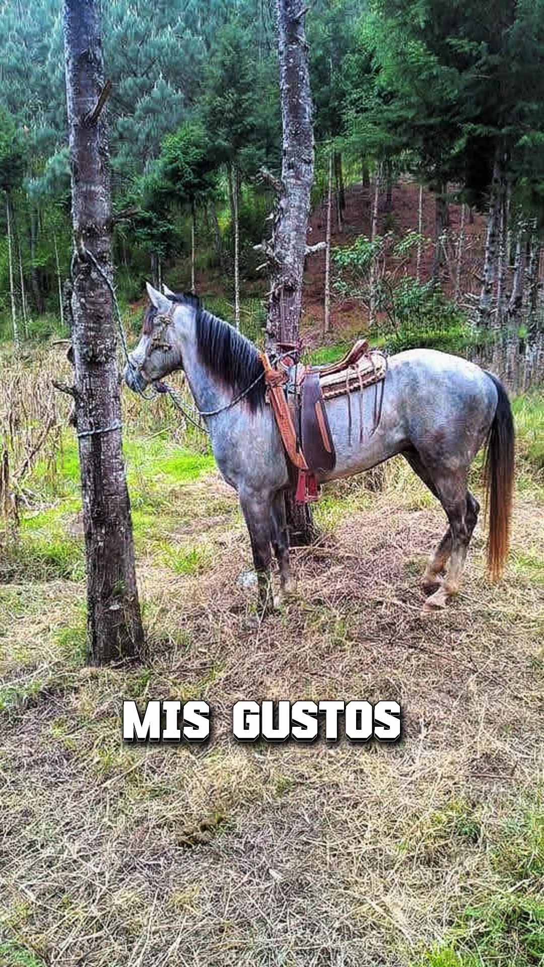 @eduar