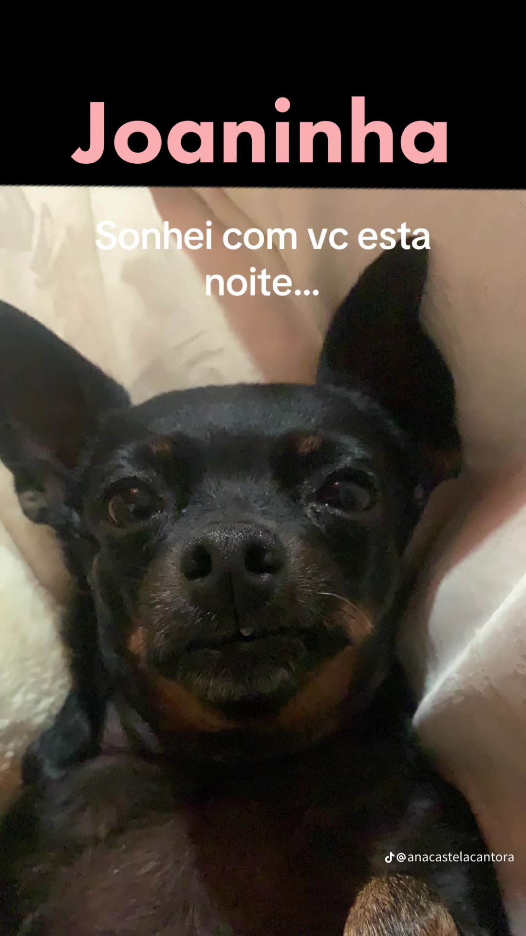 @A MAIS MAIS😘🤓😎