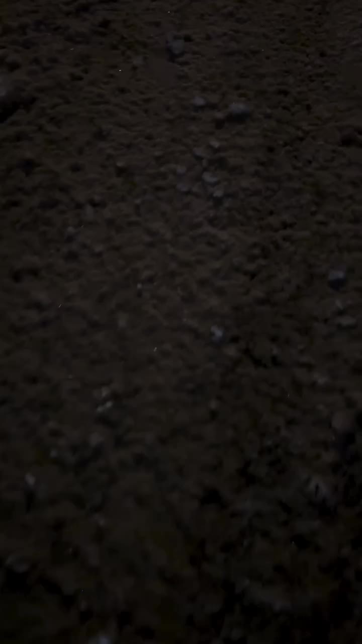 @dreamyvibes