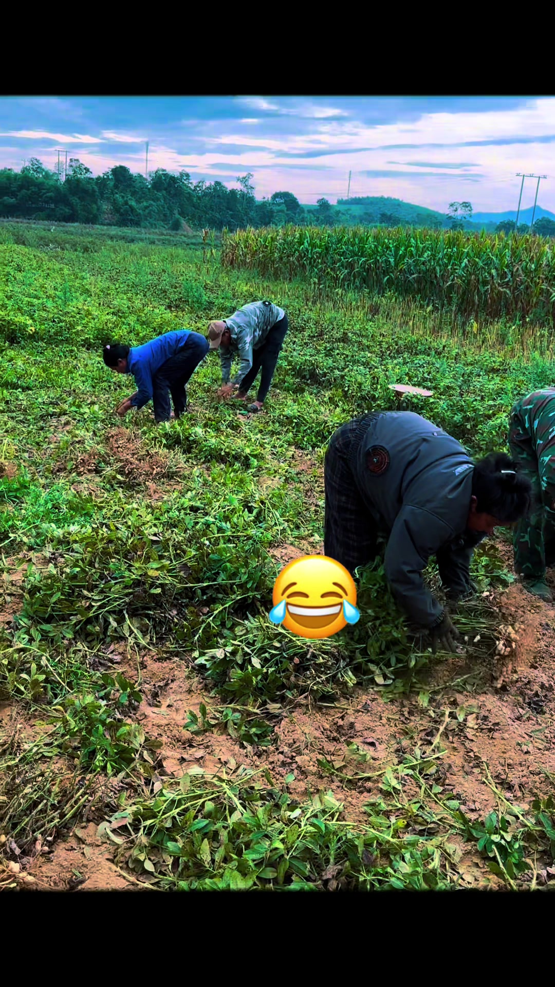@Hoài hớn hở 😎🤪